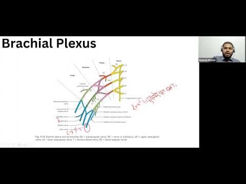 MRCS Mastering Topic Upper Limb