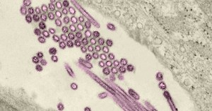 Emerging and re-emerging viruses