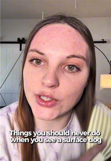 What Not to Do When You See a Service Dog