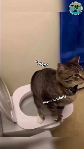 Furry Farts: Hilarious Animal Gas Moments🐈💨#shorts #animals#fart#viral