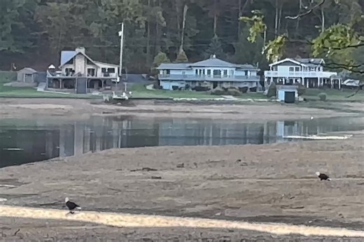 104K views · 523 reactions | Treasure Lake Eagles, Stella and Roy Thanks for the names, Wendy States | Treasure Lake, PA | Facebook
