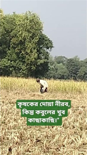 কৃষকের দোয়া নীরব/The farmer's prayer is silent.#farmer #love