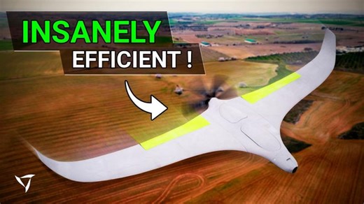 AI Designed This Organic Flying Wing… I Had to Build It (+16% Efficiency) | David Poling
