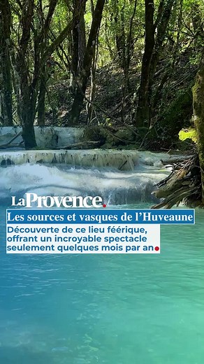 😍 On vous emmène à la découverte des sources et vasques de l'Huveaune, un lieu féérique qui offre un spectacle incroyable #Balade #Nature #Sortie #Provence #SinformerSurTiktok