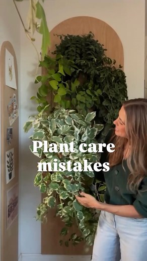 Learning to care for houseplants is a process, so cut yourself some slack! I want to share 40 of my best care tips with you to help you grow happy plants faster. Comment TOP 40 and I’ll send you the link to get my plant care guide for free (my treat)! #planthacks #plantgrowth #houseplanttips | Happy Happy Houseplant