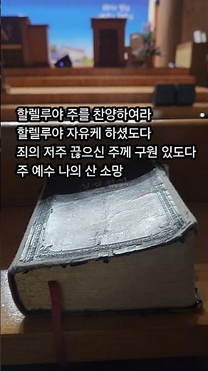 주예수 나의 산 소망 신의 악단 #주예수나의산소망 #피아워십 #피아워십찬양 #은혜찬양 #감사찬양 #신의악단 #행복찬양 #shorts