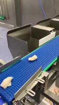 High-Speed Fish Portion Sorting in Operation – Easyweigh Weighing & Detection Equipment