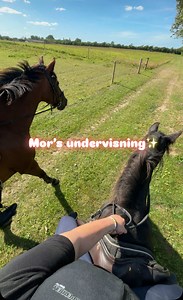 Mor’s undervisning 💕✨🤣 #horseriding #blackmare #undervisning #eqtrend #equestiantok …. Ikke mit bedste, men sjovt er det da🤭💕….