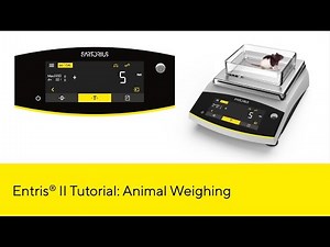 Entris® II Essential Line Lab Balance: Animal Weighing