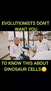 14K views · 2.3K reactions | Evolutionists don't want you to know this about dinosaur cells! | Creation Today | Facebook