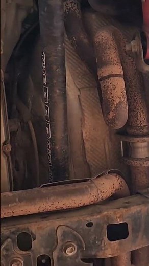 Looking under her skirt.