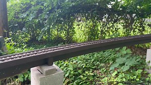 This MO garden railroad steamer seems to now it has an extra hour today! 😎#gardenrail #gardenrailways #trainsinthegarden #gardenrailwayworld #redwoodempiregardenrailwaysociety #sacvalleygardenrailwaysociety #cccgrs | Bay Area Garden Railway Society