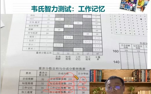 如何看懂韦氏智力测试报告