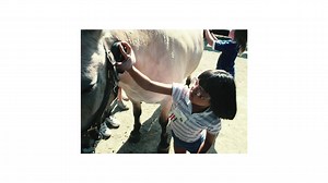 190 reactions · 31 shares | Don’t miss the wildest birthday party of the year. May 19-20 at the Minnesota Zoo. Music, games and giveaways all weekend long. #MNZoo #40YearsofAmazing #WhereAmazingLives #ExploreMN #OnlyinMN #Zoo #Minnesota #wildlife #nature #penguins #leopard | Minnesota Zoo | Facebook