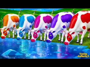 Color Cows & Animals Compilation: Wild Animal Fights | Farm Diorama Adventures 2024!