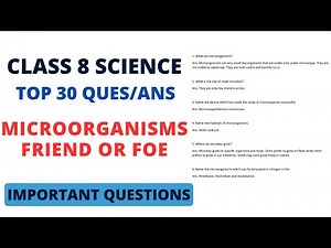 Class 8 Science Chapter 2 Important Questions and Answers - Microorganisms: Friends and Foe
