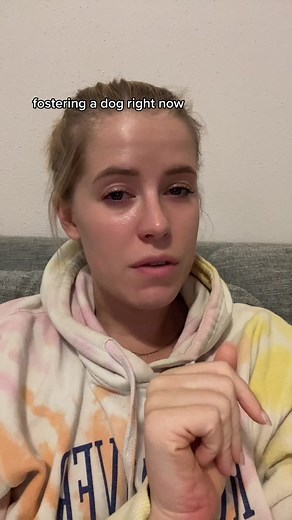 Understanding the Emotional Journey of Fostering Aggressive Shelter Dogs