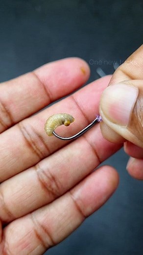 Proven Fishing Lure Tips That Will Change Your Game! #one_newtricks #fishingtipsandtricks #fishingbait #trendingreelsvideo #viralreelschallenge2025viralreelschallengejaiviralreelschallengeviralreelschallenge #tutorial | One new Tricks