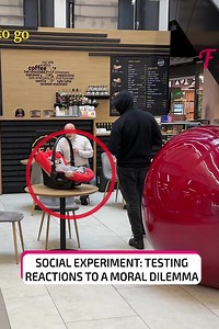 How will people react when faced with a moral dilemma? | Fabiosa Life