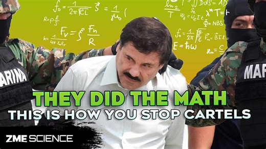 The Math Behind Why Mexico’s Cartel War is a Never-Ending Nightmare