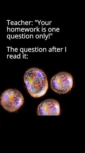 “Only one question,” they said. It’ll be easy, they said… 😩