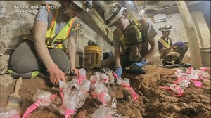 55K views · 695 reactions | The caretakers of George Washington’s Mount Vernon estate made a sweet discovery untouched since before the Revolutionary War. | CBS Evening News | Facebook