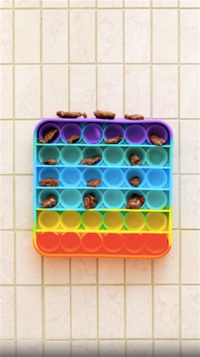 45K views · 390 reactions | Priceless hacks and tricks for a lifetime of doggy delight | 5-Minute Crafts | Facebook