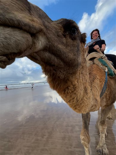 Cynthia Rowley on Reels