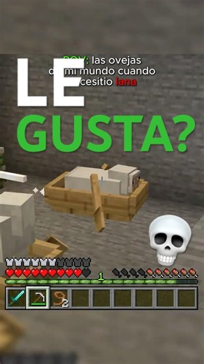 Sólo quería LANA 🐑🐑😱