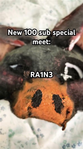 🌿M33T RA1N3🐾 #furry #notatherian #shorts