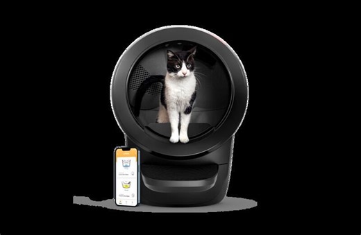Self-Cleaning Litter Boxes