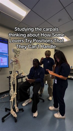Anatomy inside joke #anatomy #pta #physicaltherapy #foryoupage #xyzbca | anatomy