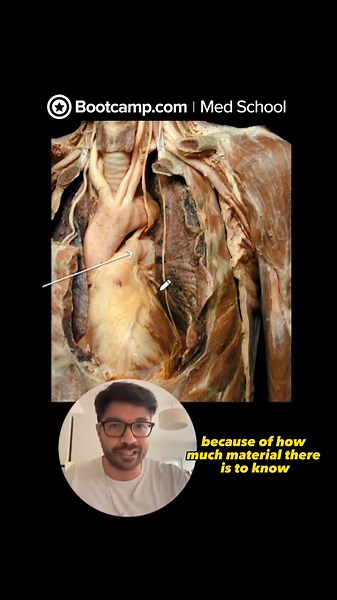 Anatomy for Med School | anatomy