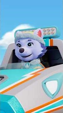 paw patrol everest saves the day! #shorts