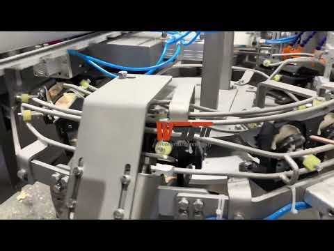 Automatic Shrimp Dumpling Machine | Whole Shrimp Stuffing for Business