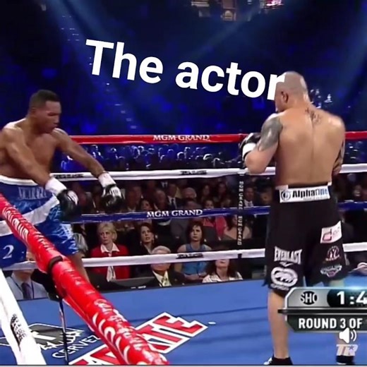 great boxer🫢