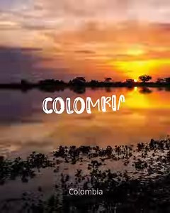 71K views · 1.1K reactions | The official #U20WWC emblem has been revealed!  Colombia’s calling, see the future stars of football later this year!  Nos vemos en Colombia. ¡Vamos! 朗 | FIFA Women's World Cup | Facebook