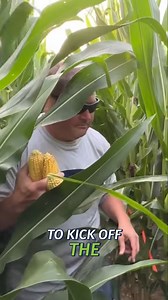 Record Yields Forecasted in 5 of the 7 Crop Tour States | U.S. Farm Report