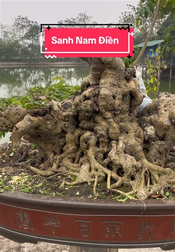 Đạt Đô trên TikTok