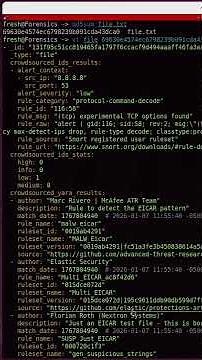 Scan Files with VirusTotal Using Linux Command Line #coding #virus #linux