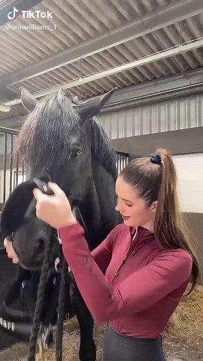 Ride Along in Style with Erin Williams | Equestrian Dressage TikTok