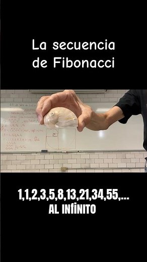 The Fibonacci sequence