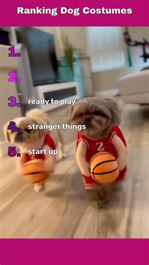 🐶🎪Ranking Dogs Wearing Costumes🤣💕
