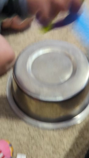 Jaggie Smalls is 11 months old today, and what better way to celebrate than with a drum solo on Kona’s water bowl? The kid’s got rhythm, passion, and absolutely no regard for Kona’s peace and quiet. Kona, as usual, is not impressed. Unless it’s Jagger’s dinnertime, then she’s his biggest fan. But today, she’s side-eyeing me like, “Dad, why is this happening?” Sorry, Kona, but birthdays call for music… even if it’s just banging on a dog bowl. This skill is way better than walking, talking or payi