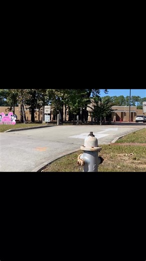 Played a little joke at our school today! 6 7 🤣👻🩷🐝 | Busy Bee Yard Cards