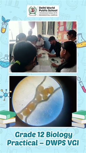 Grade 12 Biology Practical – DWPS VGI
