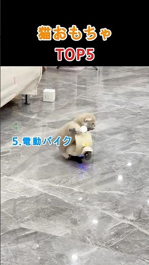 猫おもちゃ TOP5