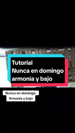 Aprende la canción 'Nunca en domingo' en marimba y bajo