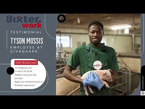 Inside a Danish Pig Farm | Bixter Trainee Tyson at Civagaard