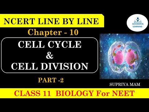 Chapter- 10 CELL CYCLE & CELL DIVISION |CLASS-11 |NCERT Line by Line Explanation For NEET#neet2026